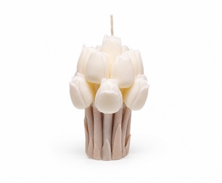 Tulipany
